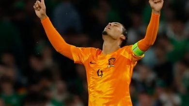 Belanda Patahkan Impian Irlandia