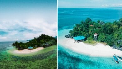 Pulau Hari