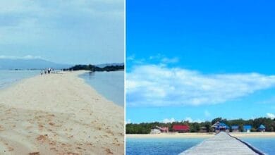Pulau Towea