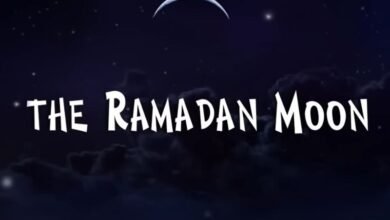Lagu Ramadan Cat Stevens