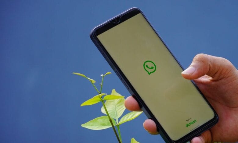 fitur username WhatsApp