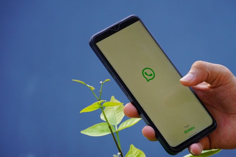 fitur username WhatsApp