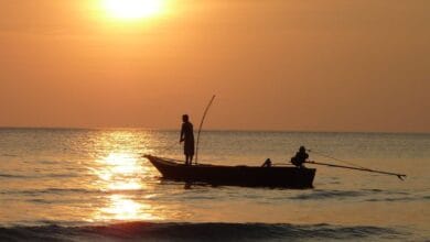 turnamen mancing Boltara