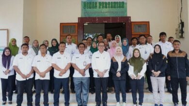 penyuluh pertanian Boltara