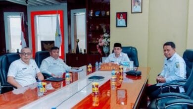 harga bawang putih Boltara