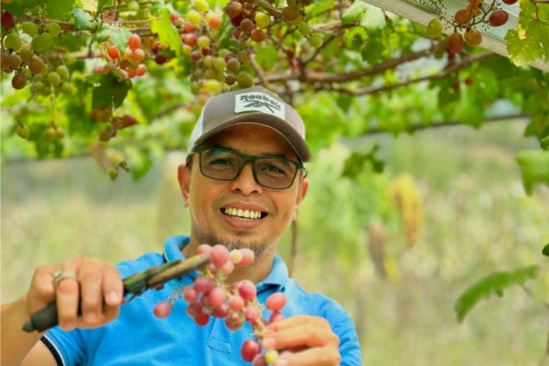 kebun anggur Sangkub Timur