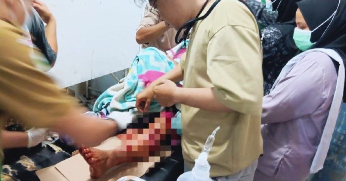 Serangan buaya di Desa Iyok
